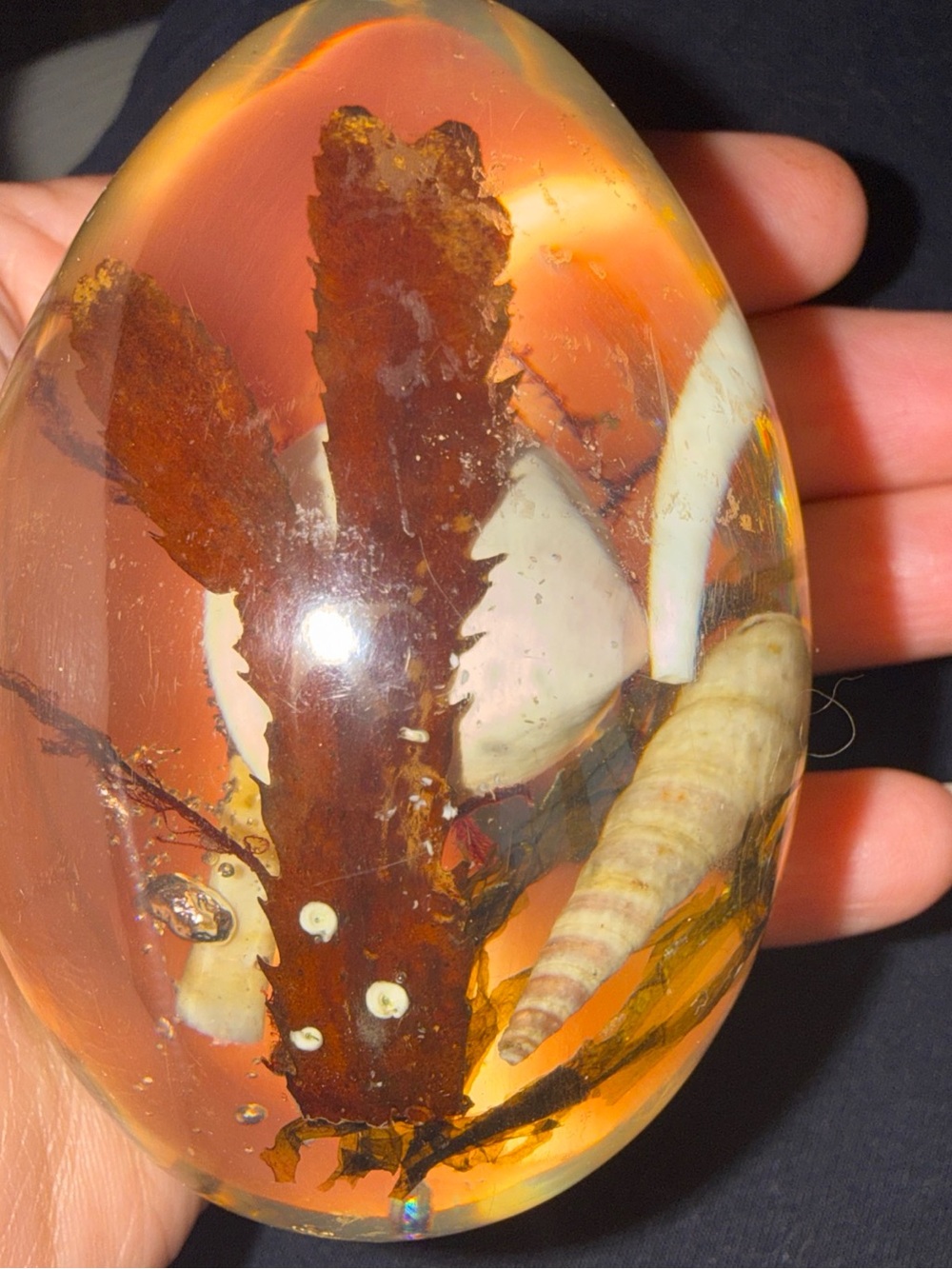 Clear Lucite Egg Natural Shells Plants vintage 3”.5